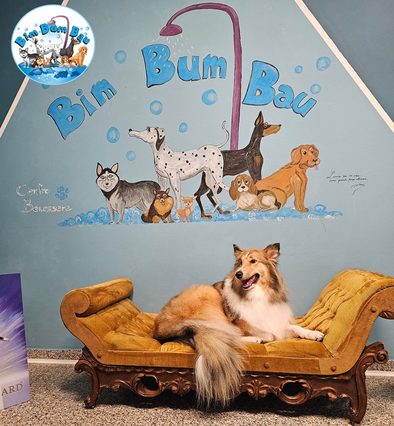 Centro Benessere Cane Druento - Torino